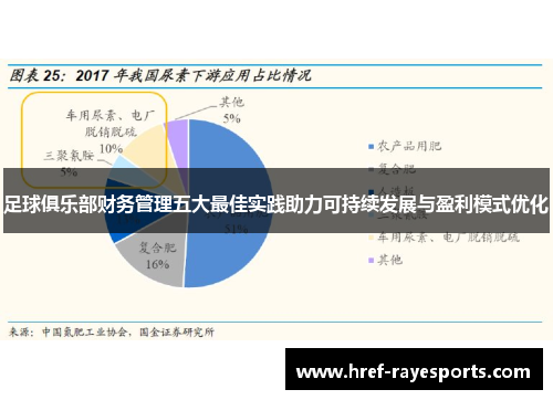 足球俱乐部财务管理五大最佳实践助力可持续发展与盈利模式优化