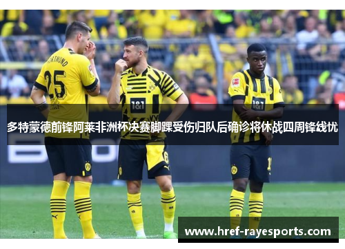 多特蒙德前锋阿莱非洲杯决赛脚踝受伤归队后确诊将休战四周锋线忧