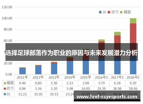 选择足球部落作为职业的原因与未来发展潜力分析